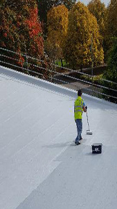 Applied High Performance Liquid Roofing Systems