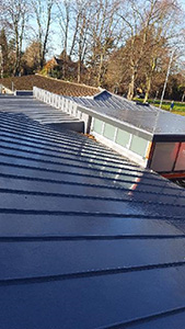 Single Ply Roofing Systems